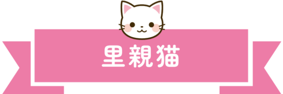 里親猫