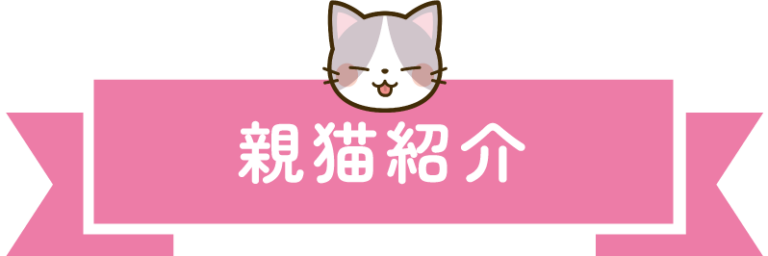 親猫紹介