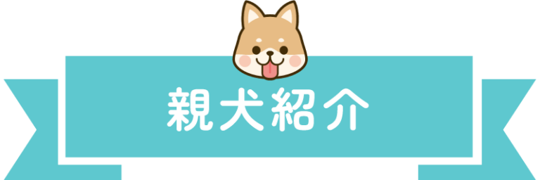 親犬紹介